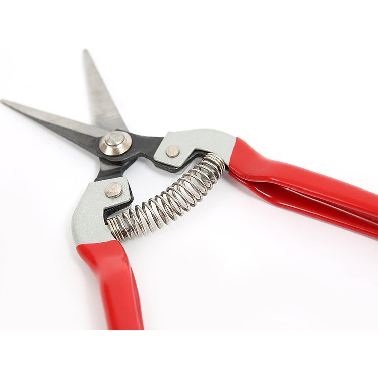 Bộ combo 5 Kéo cắt tỉa rau, hoa, quả, tỉa cành DAEGEE (Giá siêu rẽ) - Đỏ