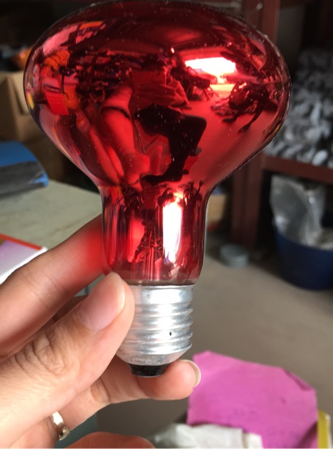 Bóng úm gà dành sưởi ấm gia súc, gia cầm 45W, 75W, 100W, 150W, 175W, 200W, 250W | BigBuy360 - bigbuy360.vn