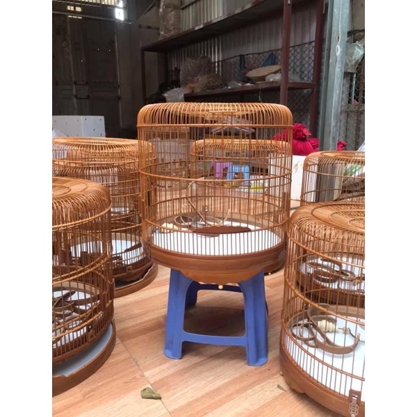 Lồng Choè Than From Lùn Kèm Pk Ảnh Thật