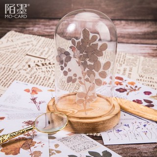 Background stickers nhãn dán Tả Bí Lù Store