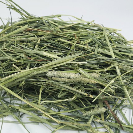 Cỏ Alfalfa Nhập Thái🥕𝐇𝐨𝐭𝐃𝐞𝐚𝐥🥕 100G Cỏ Alfalfa Nén Dinh Dưỡng - Cỏ Nén Khô Cho Thỏ, Bọ, Chinchillas