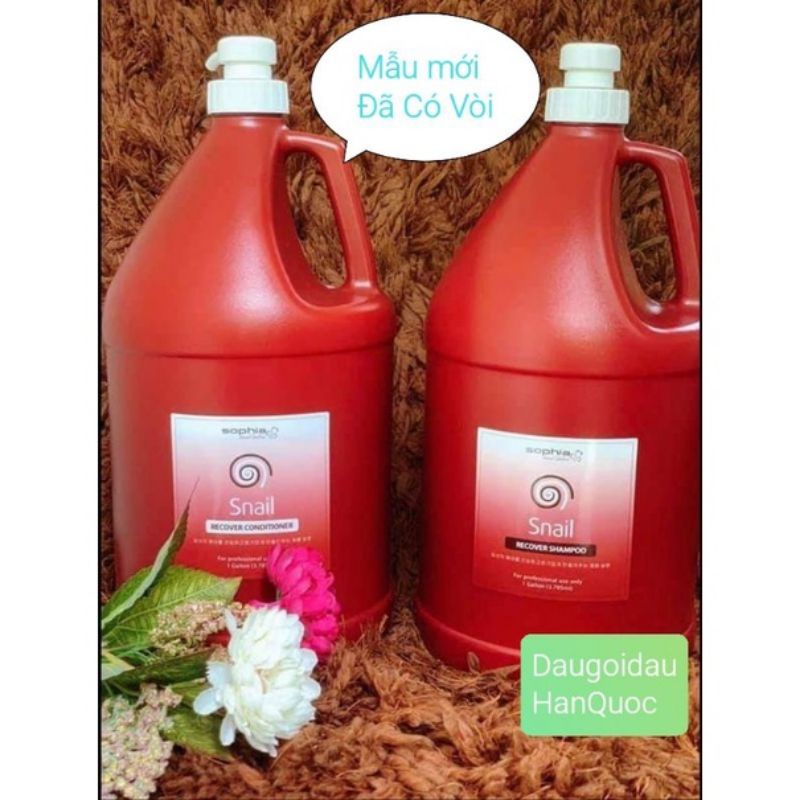 Dầu Gội hoặc Xả Snail Can 3785ml