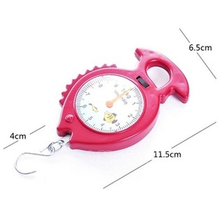 CÂN CẦM TAY 10KG mini