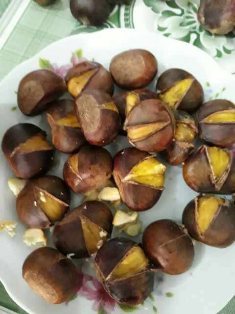 2KG hạt dẻ sống/dẻ tươi ngon cơm vàng bở hạt to