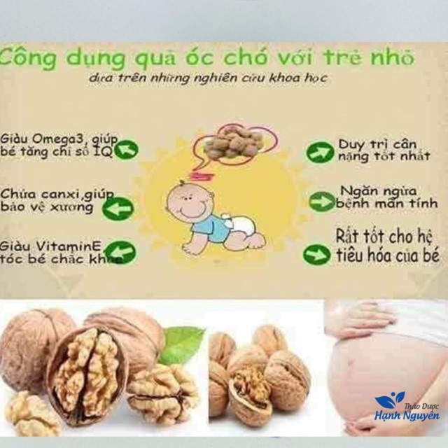 Quả Óc Chó 1kg (Hạt Óc Chó Đã Tách Vỏ)