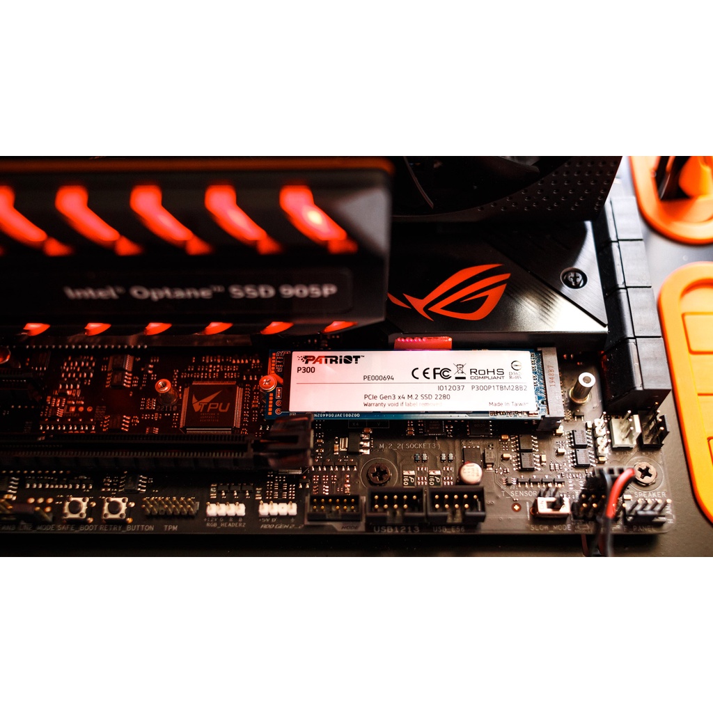 Ổ Cứng SSD PATRIOT P300 M.2 2280 PCIE GEN 3×4 128GB | BigBuy360 - bigbuy360.vn