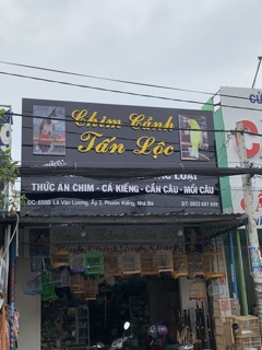 keo bẫy chim siêu dính