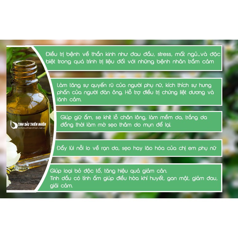 [TINH DẦU] Tinh Dầu Thiên Nhiên Hoa Nhài 10ml (Jasmine) _HD