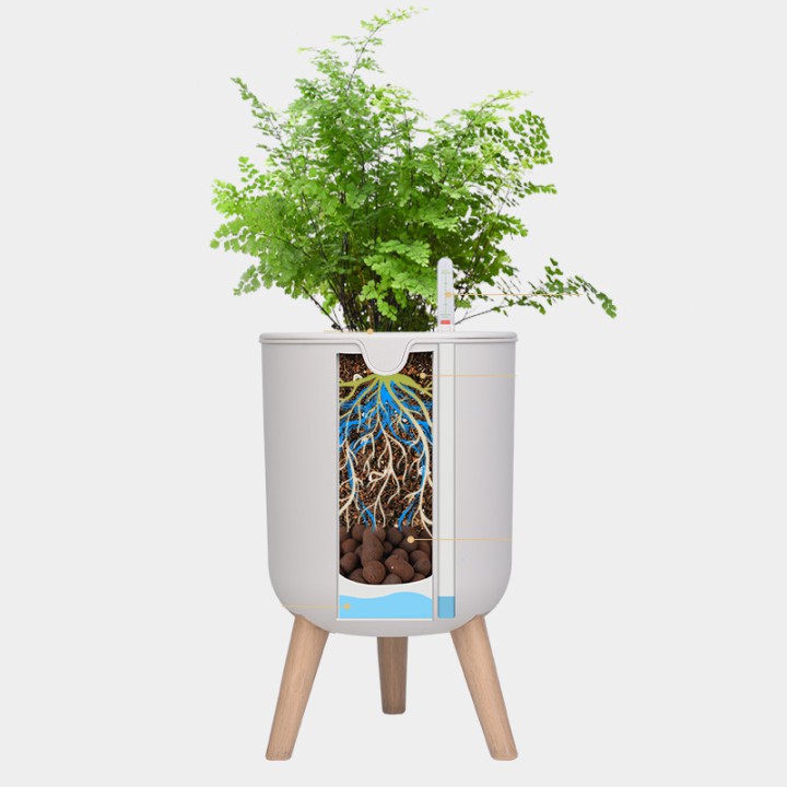 Chậu nhựa trồng cây tự tưới cao cấp - Sự đột phá trong thiết kế