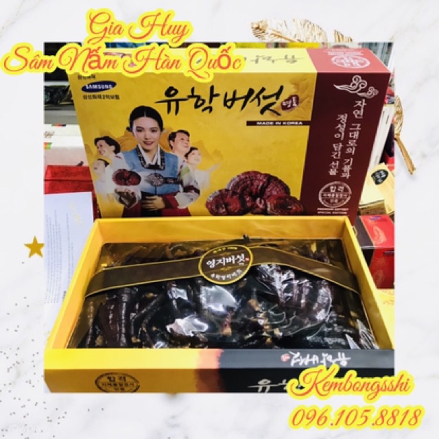 [HÀNG MỚI VỀ] Nấm Linh Chi Sừng Hươu Hàn Quốc, Hộp 500gr