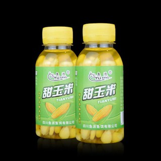 Hạt ngô ngọt câu cá móc trực tiếp vào lưỡi câu