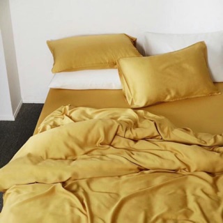 Bộ ga,gối, chăn cho gường 1m60 chất liệu Tencel gỗ sồi