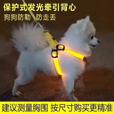 dây xích thú cưng Dây xích cho thú cưng, dây xích cho chó, loại áo vest, sạc USB phát sáng LED, dạ quang