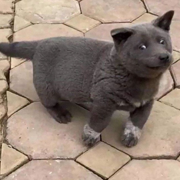 Bàn ghế nội thất chất lượng ca