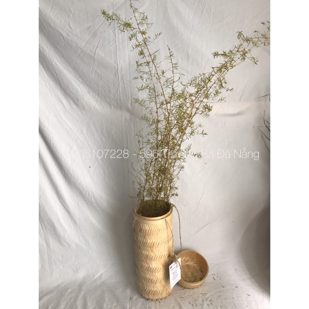 Giỏ Tre Đan hình Trụ Tròn Dùng Để Đựng Quà Tặng, tài Liệu, Cắm Hoa Trang Trí Có Nắp Đậy Và Quai xách