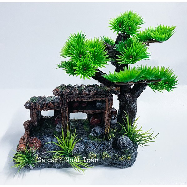 TIỂU CẢNH TRANG TRÍ HỒ CÁ NON BỘ 17X8X20CM