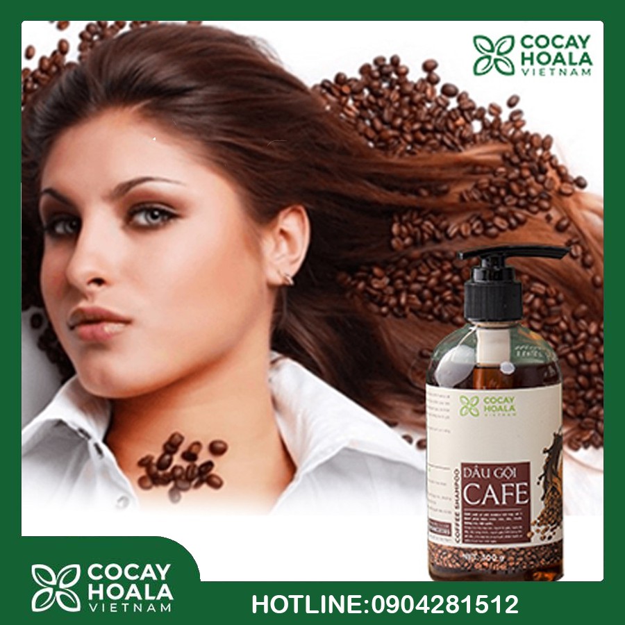 Dầu Gội Cà Phê - Dầu Gội Thảo Dược Cà Phê Trị Liệu Tóc Cocayhoala Chiết Xuất Hạt Cà Phê Arabica 300g | BigBuy360 - bigbuy360.vn