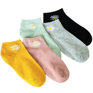 Tất Hoa Cúc Trơn Cổ Ngắn Người Lớn (Set 10 Đôi)