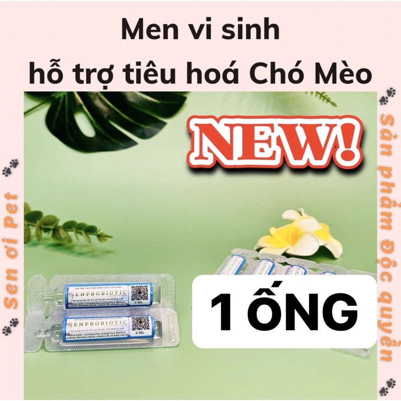 Men vi sinh tăng sức đề kháng và kích thích ăn Chó Mèo [1 Ống]