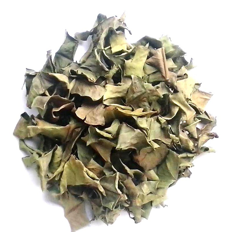 Lá Vối khô
