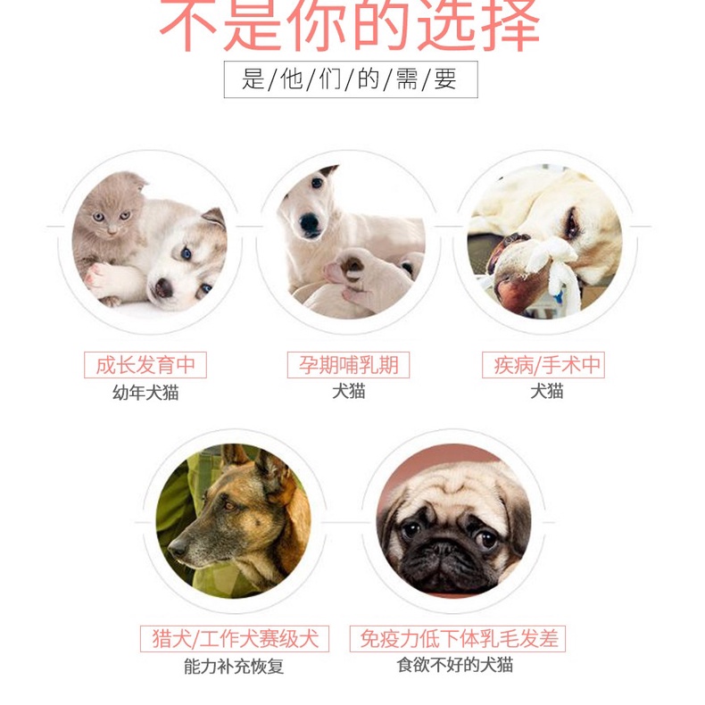 Gel dinh dưỡng cho chó Dorrikey tăng cân hỗ trợ sức khỏe cho chó mèo NourseVietnam DK01