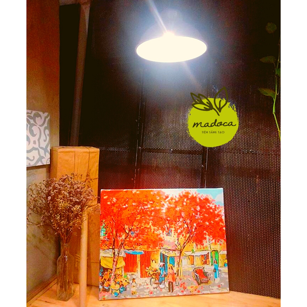 Tranh tô màu theo số hóa Madoca có khung 40x50cm Sông hoa TVN6
