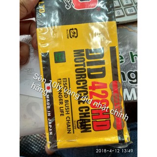 Sên vàng did 10ly 428 130 mắt