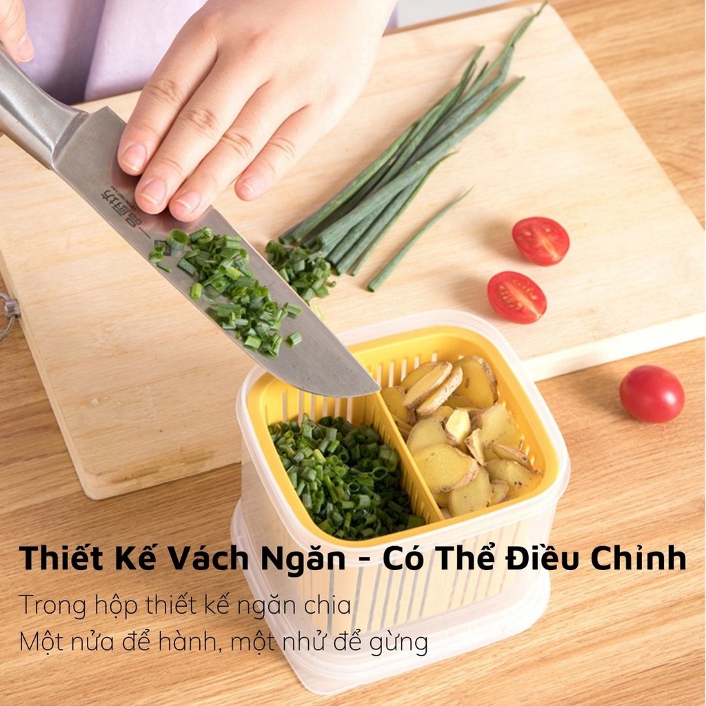 Hộp Bảo Quản Hành Tỏi Trong Tủ Lạnh Hình Vuông  Bằng Nhựa Đa Năng Tách Nước Có Ngăn Chia Tiện Lợi 0503