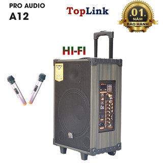 Loa Kéo Di Động - Loa Kéo Karaoke Cao Cấp Công Suất 250W-500W A-12/ SKT 300 Siêu Bass
