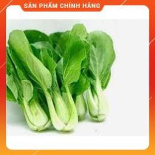 HẠT GIỐNG CẢI CHÍP CAO SẢN.