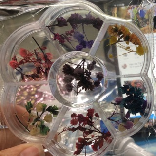 Hoa khô nail