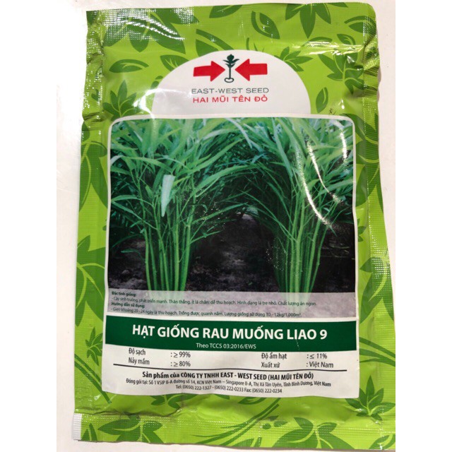 Hạt Giống Rau Muống Lá Tre Siêu Năng Suất LIAO 09