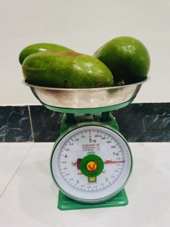 Bơ sáp dak lak size bự 2 3