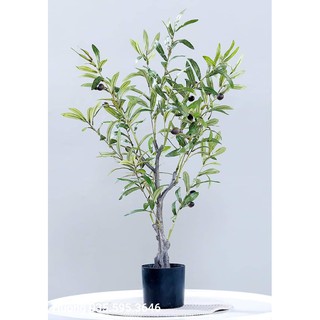 Cây Ô Liu Giả ( cao 90 cm) chất liệu cao cấp