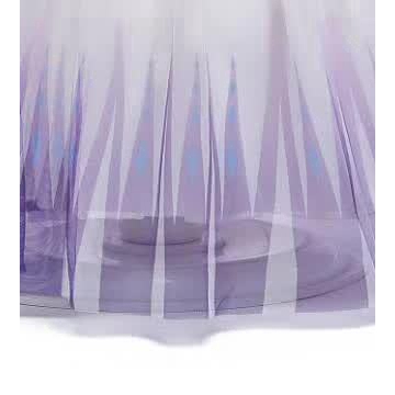 Disney Frozen 2 Elsa Anna Girls Long Sleeve Floor Length Tule Party Dress Halloween Costume
