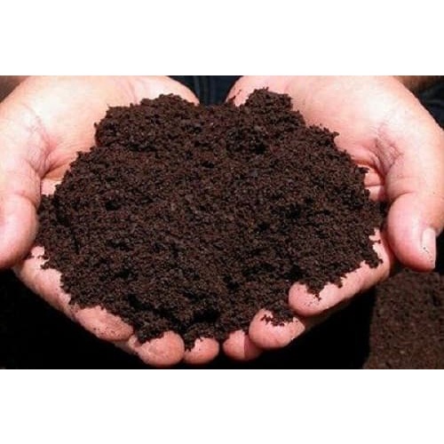 Phân trùn quế SFARM Pb01 bao 10kg !  Phân trùn cao cấp đã qua sàn lọc trứng trùn và giảm ẩm !