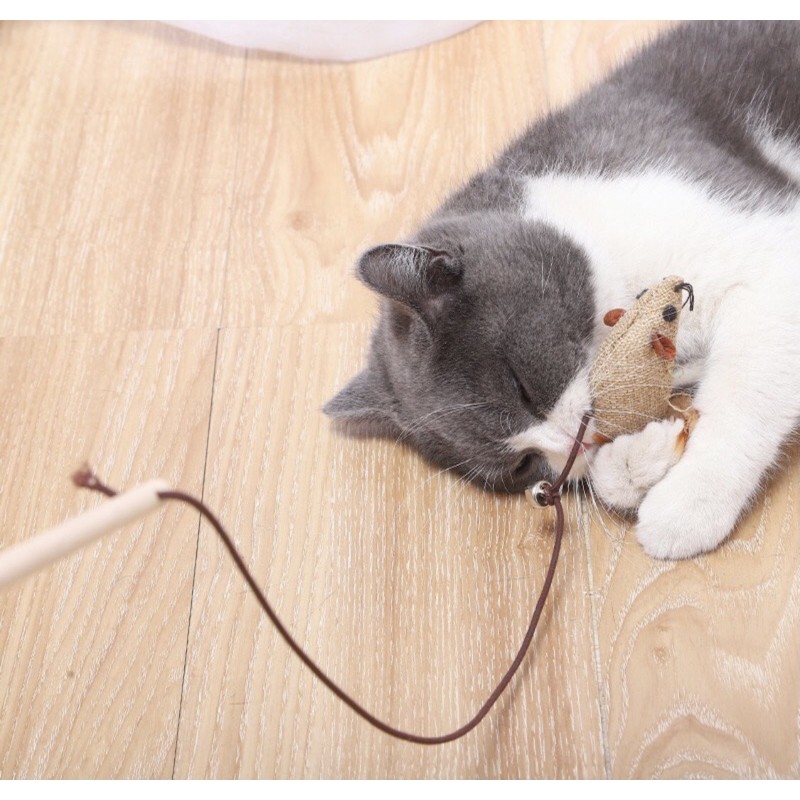 Bộ đồ chơi 7 món có cần câu chuột