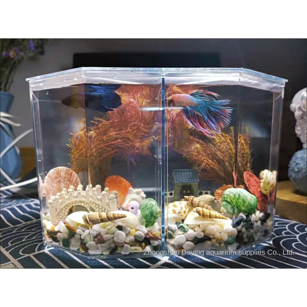 Bể Cá Hai Ngăn Hình Kim Cương Có Lỗ Bắt Sáng Cao Cấp