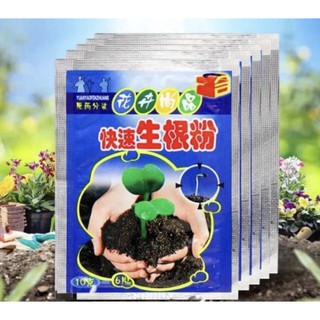 Bột kích rễ nẩy mầm