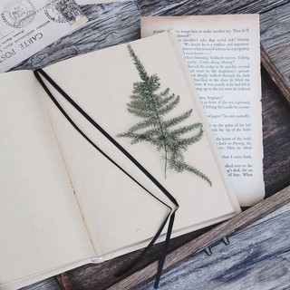 Sổ Love Notebook