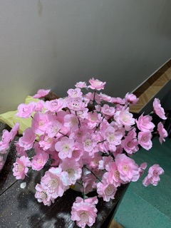 Cành anh đào mini