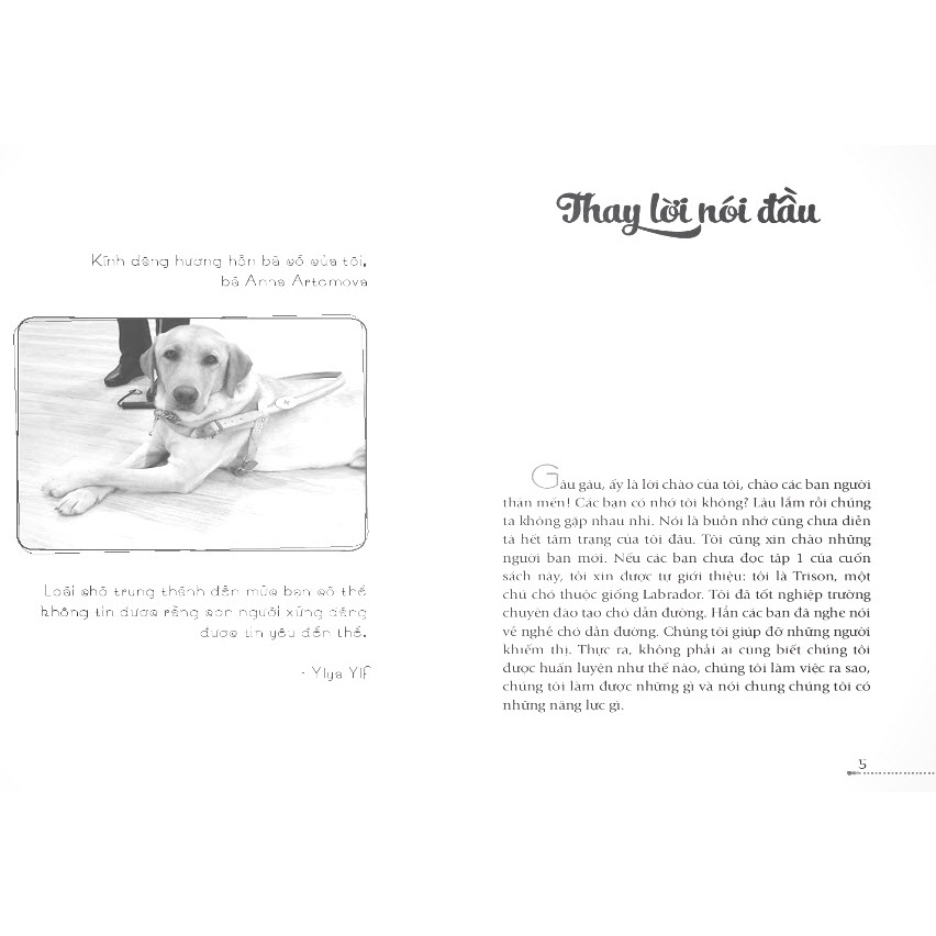 Sách - Hạt Giống Tâm Hồn - Cầu Vồng Trong Đêm 2 - Công Thức Thiện Tâm
