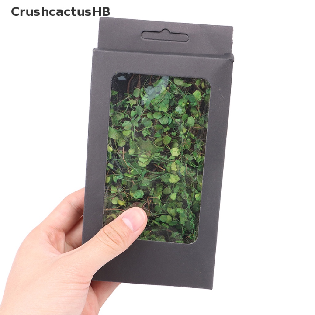 [CrushcactusHB] Dây Leo Mô Phỏng Dùng Trang Trí Tiểu Cảnh DIY Bán Chạy Cho Nhà Búp Bê