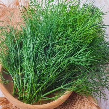 Hạt Giống Rau Thì Là
