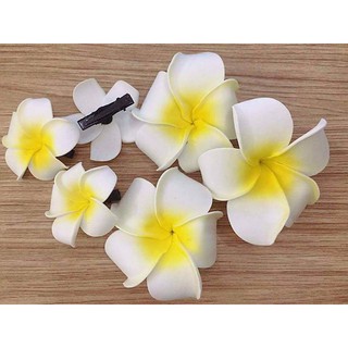 [XẢ KHO 3 NGÀY]_SIÊU PHẨM HOA CÀI TÓC ĐI BIỂN