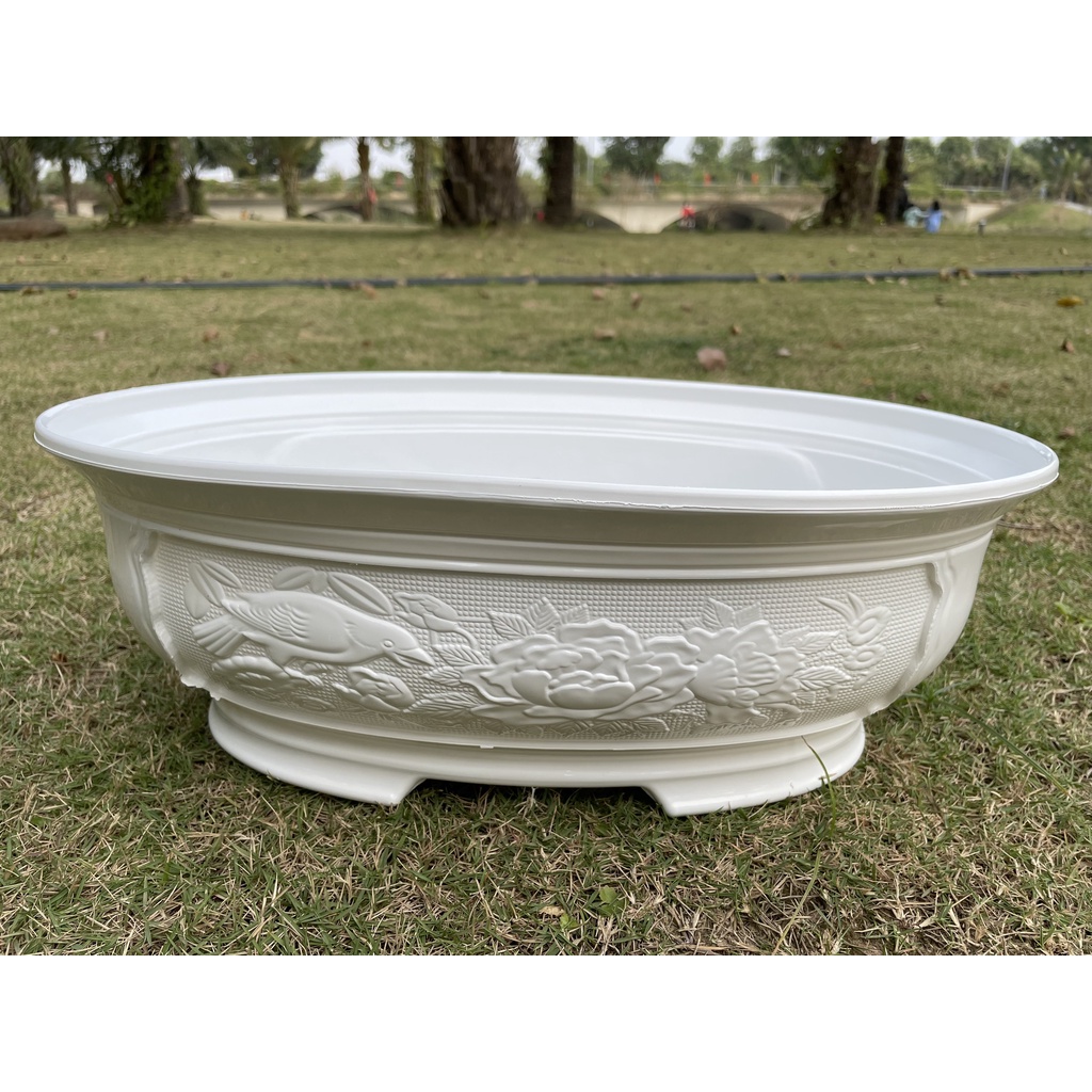 Chậu Trồng Cây Cảnh Chưng Tết, Chậu Nhựa Trồng Cây Kiểng Bonsai KT 44x30xH15 Cm 2 Mầu Trắng Và Nâu (Mẫu Mới Về)