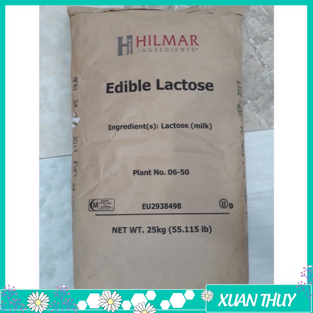 Đường Lactose 100Mesh_Bao 25Kg (Dùng cho thực phẩm)