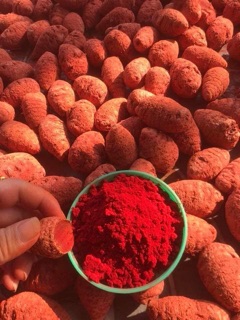 Củ Nghệ Đỏ_500Gr (ORGANIC)