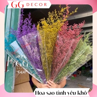 Hoa sao tình yêu khô 🔸 CỰC ĐẸP 🔸 hoa sao tinh yêu ướp khô có thể trưng đường nhiều năm dùng để trang trí decor nhà cửa