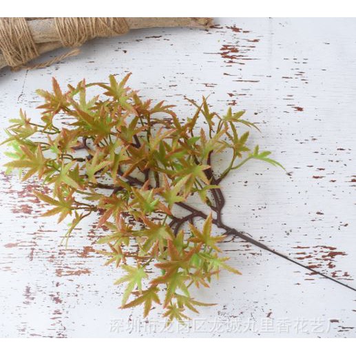 Mô hình lá phong  - Tráng trí gỗ, lũa bonsai tuyệt đẹp - Hàng chất lượng cao, màu tự nhiên.